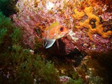 Pousada em Fernando de Noronha